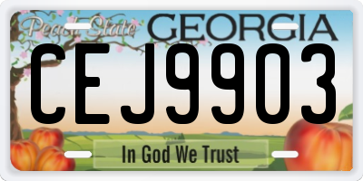 GA license plate CEJ9903