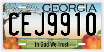 GA license plate CEJ9910