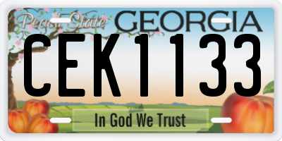 GA license plate CEK1133