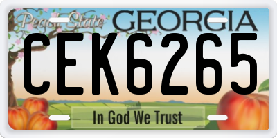 GA license plate CEK6265