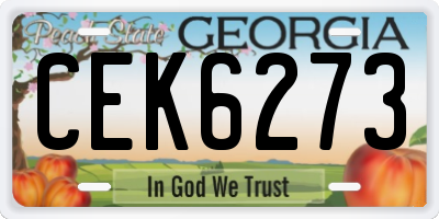 GA license plate CEK6273