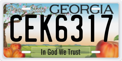 GA license plate CEK6317