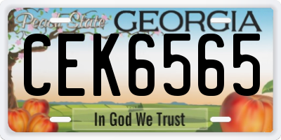 GA license plate CEK6565