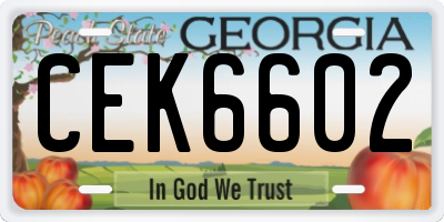 GA license plate CEK6602