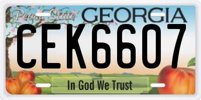 GA license plate CEK6607