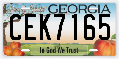 GA license plate CEK7165