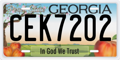 GA license plate CEK7202