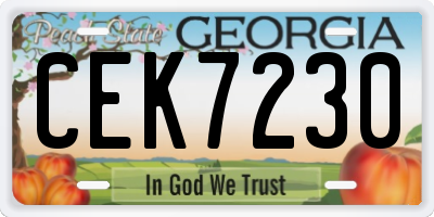 GA license plate CEK7230