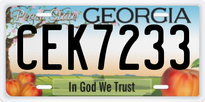GA license plate CEK7233