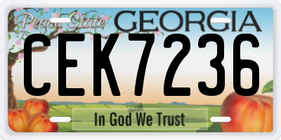 GA license plate CEK7236
