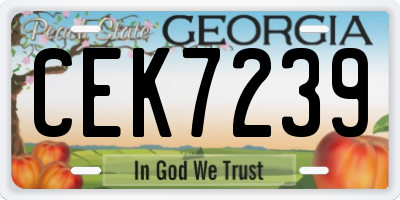 GA license plate CEK7239