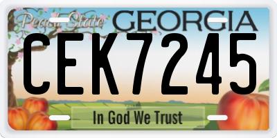GA license plate CEK7245
