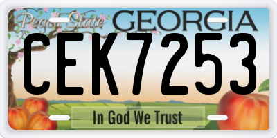 GA license plate CEK7253