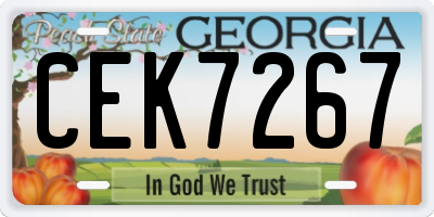 GA license plate CEK7267