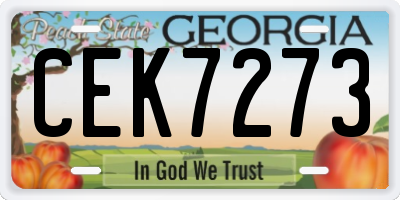 GA license plate CEK7273