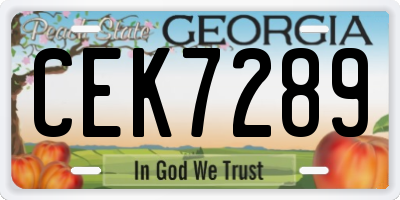 GA license plate CEK7289