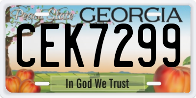 GA license plate CEK7299