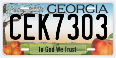 GA license plate CEK7303