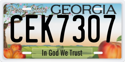 GA license plate CEK7307