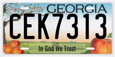 GA license plate CEK7313