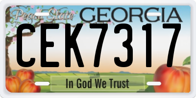 GA license plate CEK7317