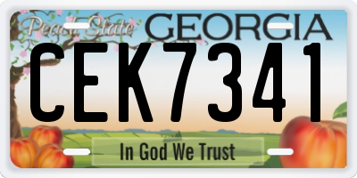 GA license plate CEK7341