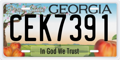 GA license plate CEK7391