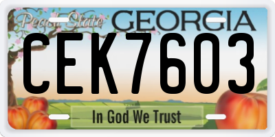 GA license plate CEK7603