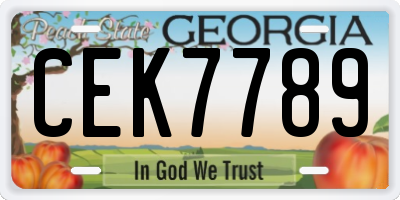 GA license plate CEK7789