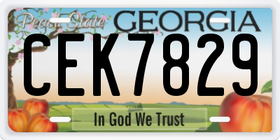GA license plate CEK7829
