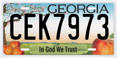 GA license plate CEK7973