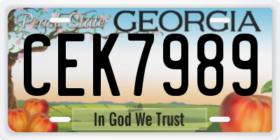 GA license plate CEK7989
