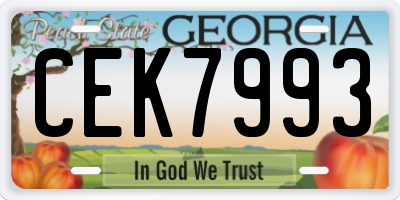 GA license plate CEK7993