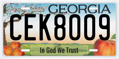 GA license plate CEK8009
