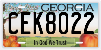 GA license plate CEK8022