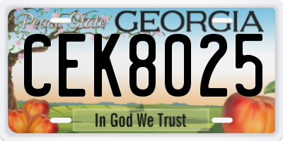GA license plate CEK8025