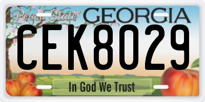 GA license plate CEK8029