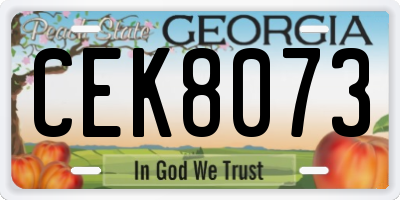 GA license plate CEK8073