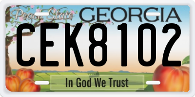 GA license plate CEK8102