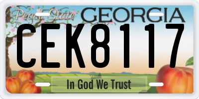 GA license plate CEK8117