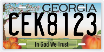 GA license plate CEK8123