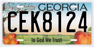 GA license plate CEK8124