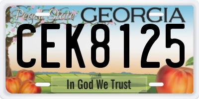 GA license plate CEK8125