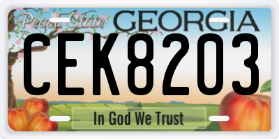 GA license plate CEK8203