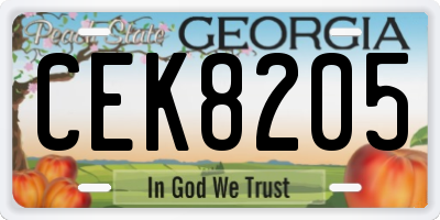 GA license plate CEK8205