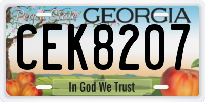 GA license plate CEK8207