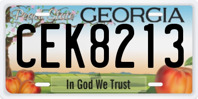 GA license plate CEK8213