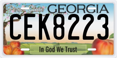 GA license plate CEK8223