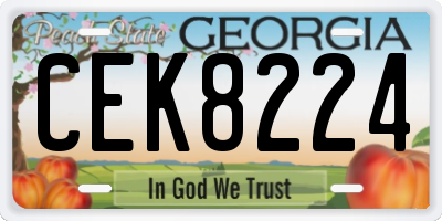 GA license plate CEK8224
