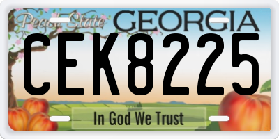 GA license plate CEK8225